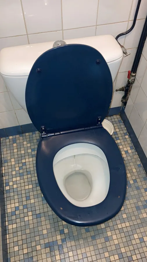 Cuvette de WC remplacée à Cléon