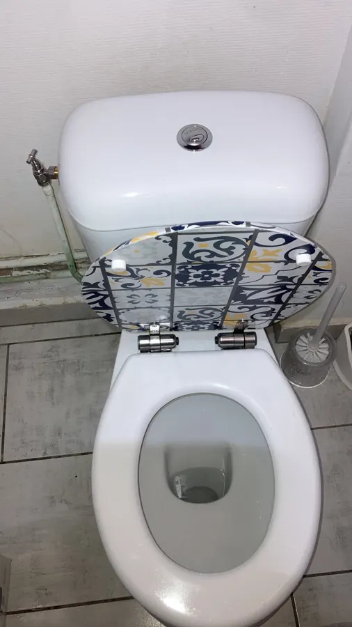 WC et chasse d’eau réparés à Cléon